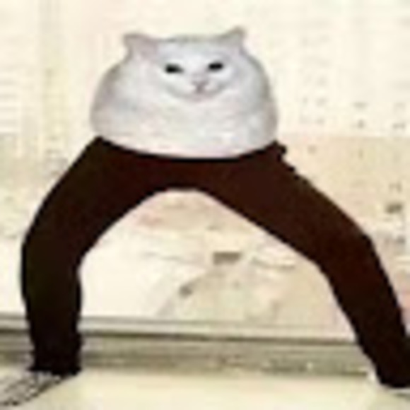 pantscat